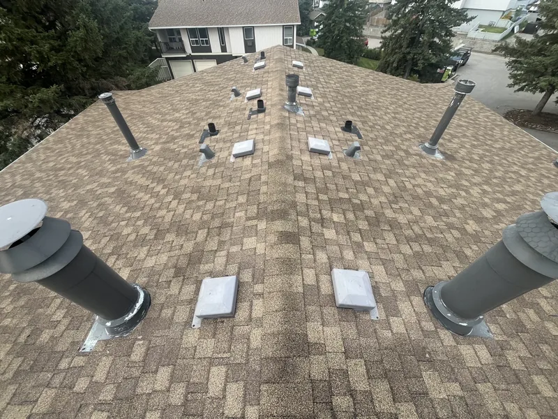 Residential shingle roof with vents, flashing and adjoining homes