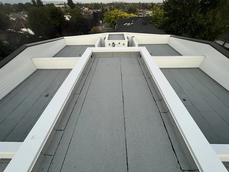 Metal roof surfaces, raised sections and roof transitions